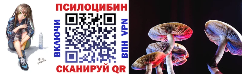 mega   сколько стоит  Аткарск  Псилоцибиновые грибы мицелий 